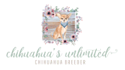 Chihuahua's Unlimited